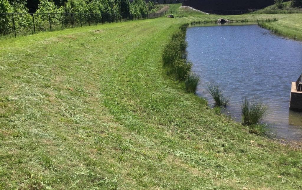 tidewater detention home jobs